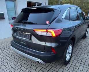 Ford Kuga Gebrauchtwagen