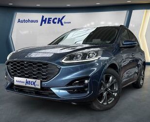 Ford Kuga Gebrauchtwagen