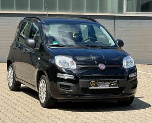 Fiat Panda Gebrauchtwagen