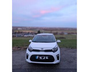 Kia Picanto Gebrauchtwagen