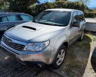 Subaru Forester Gebrauchtwagen