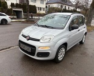 Fiat New Panda Gebrauchtwagen