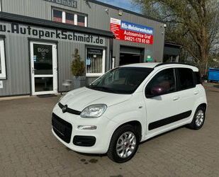 Fiat Panda Gebrauchtwagen