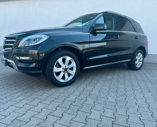 Mercedes-Benz ML 350 Gebrauchtwagen