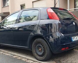Fiat Punto Gebrauchtwagen