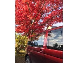 VW T5 Multivan Gebrauchtwagen