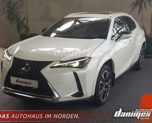 Lexus UX Gebrauchtwagen