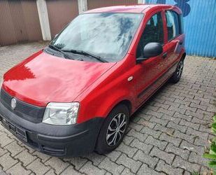 Fiat Panda Gebrauchtwagen