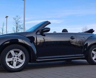 VW Beetle Gebrauchtwagen
