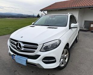 Mercedes-Benz GLE 350 Gebrauchtwagen