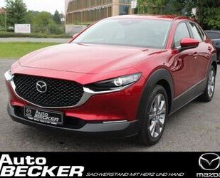 Ferrari CX-30 