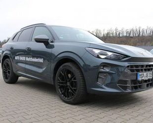Cupra Terramar Gebrauchtwagen