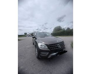 Mercedes-Benz ML 350 Gebrauchtwagen