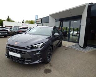 Cupra Terramar Gebrauchtwagen