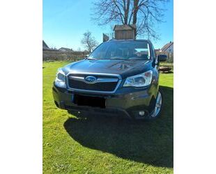 Subaru Forester Gebrauchtwagen