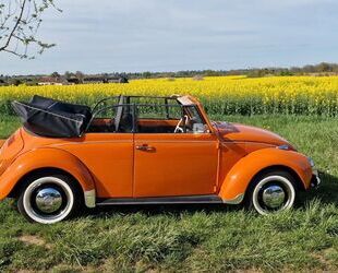 VW Käfer Gebrauchtwagen