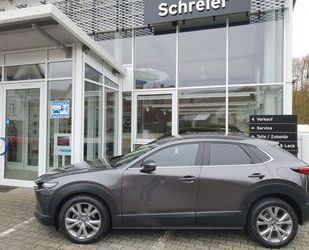 Mazda CX-30 Gebrauchtwagen