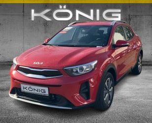 Kia Stonic Gebrauchtwagen