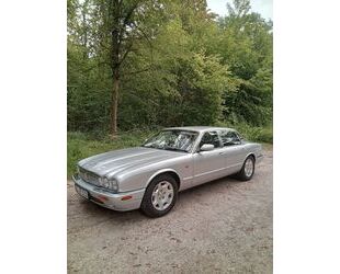 Jaguar XJ8 Gebrauchtwagen
