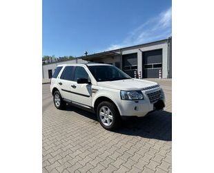 Land Rover Freelander Gebrauchtwagen