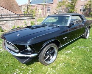 Ford Mustang Gebrauchtwagen
