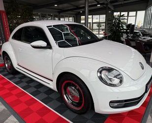 VW Beetle Gebrauchtwagen