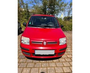 Fiat Panda Gebrauchtwagen