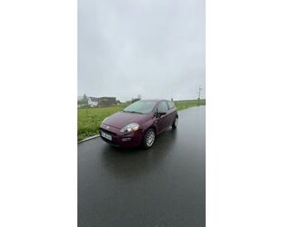 Fiat Punto Gebrauchtwagen