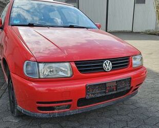 VW Polo Gebrauchtwagen