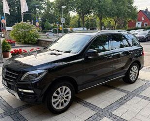 Mercedes-Benz ML 350 Gebrauchtwagen