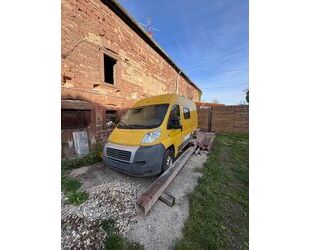 Fiat Ducato Gebrauchtwagen