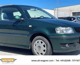 VW Polo Gebrauchtwagen