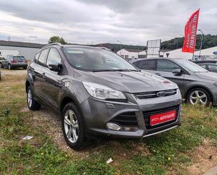 Ford Kuga Gebrauchtwagen