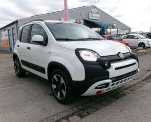 Fiat Panda Gebrauchtwagen