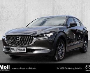 Mazda CX-30 Gebrauchtwagen