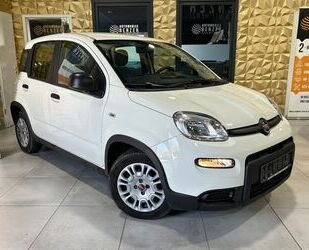 Fiat Panda Gebrauchtwagen