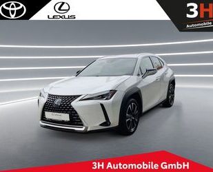 Lexus UX Gebrauchtwagen