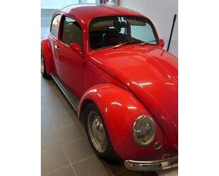 VW Käfer Gebrauchtwagen