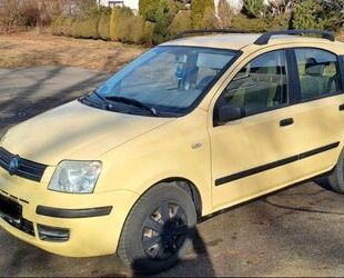 Fiat Panda Gebrauchtwagen