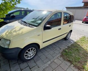 Fiat Panda Gebrauchtwagen
