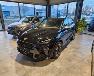 Cupra Terramar Gebrauchtwagen