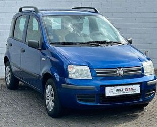 Fiat Panda Gebrauchtwagen