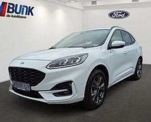 Ford Kuga Gebrauchtwagen