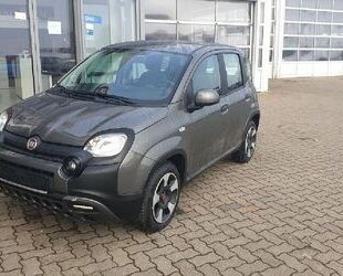 Fiat Panda Gebrauchtwagen