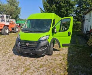 Fiat Ducato Gebrauchtwagen