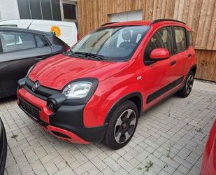 Fiat Panda Gebrauchtwagen