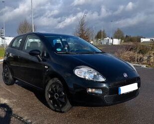 Fiat Punto Gebrauchtwagen