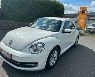 VW Beetle Gebrauchtwagen
