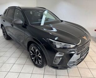 Cupra Terramar Gebrauchtwagen