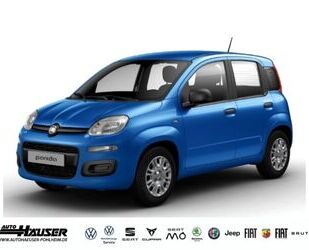 Fiat Panda Gebrauchtwagen